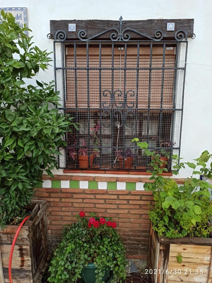 Apartmán La Casita De Paco Albaicin Granada Exteriér fotografie